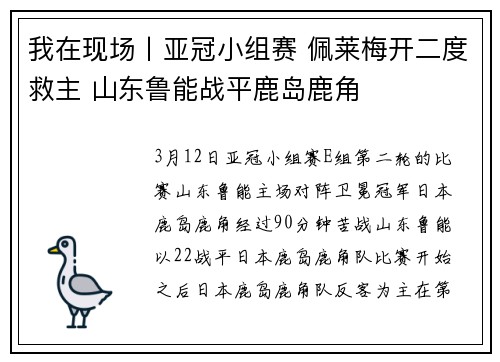 我在现场丨亚冠小组赛 佩莱梅开二度救主 山东鲁能战平鹿岛鹿角